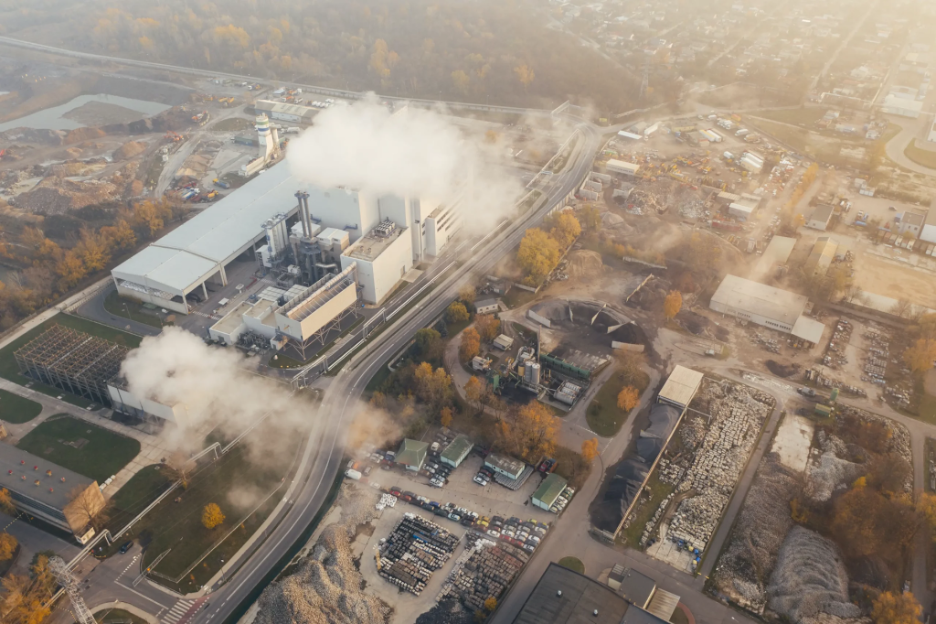 Carbon Management in the Petrochemical Sector