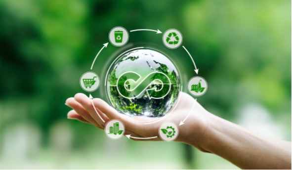 Circular Economy Petrochemicals: Egypt's Sustainable Chemical Future 2026