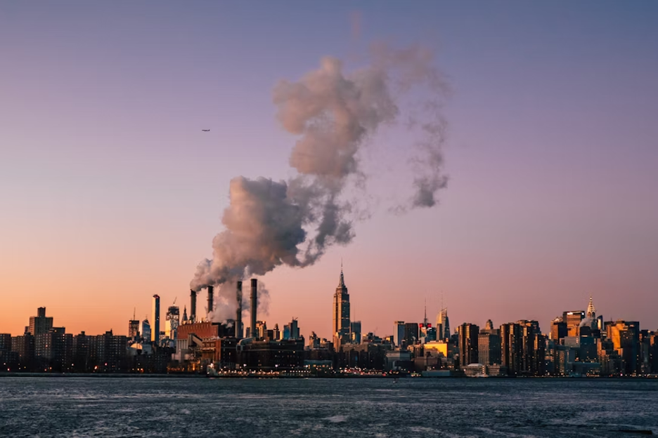 Environmental Impact Assessments (EIAs) in Petrochemicals