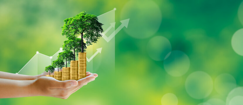 Financing Green Petrochemical Projects