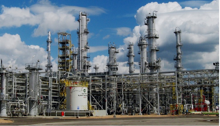 Petrochemical Investments in a Changing World