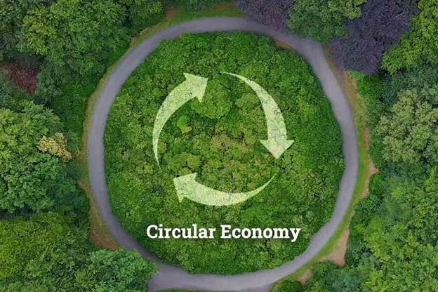Sustainable Petrochemical Projects in Egypt: Green Chemical Future