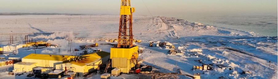 The Interplay Between Mining and Petrochemicals